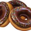 DOUGH NUTS